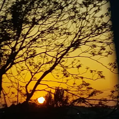 Profile image of 아름