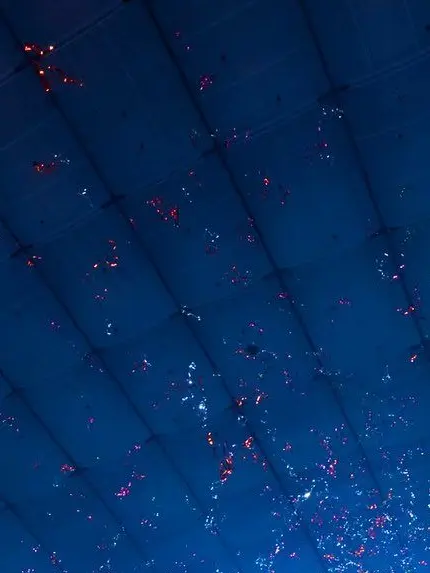 Cocoa0810의 自分用