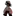 폴리