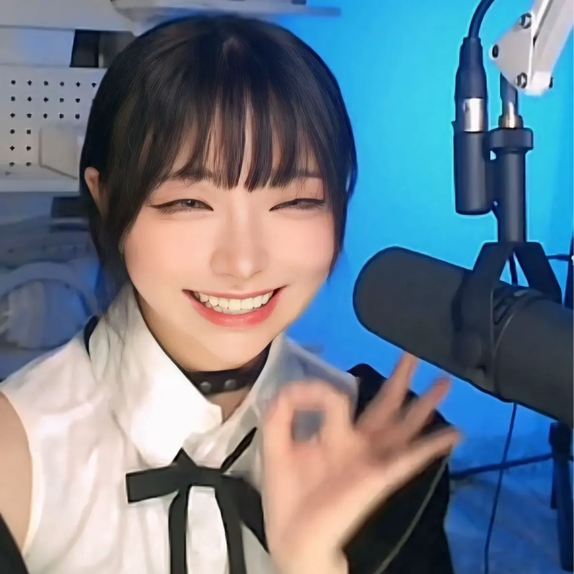 AcridSalty7092의 きらり