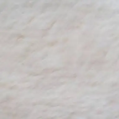 Profile image of ソニック