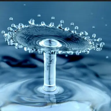 Profile image of ツエッド