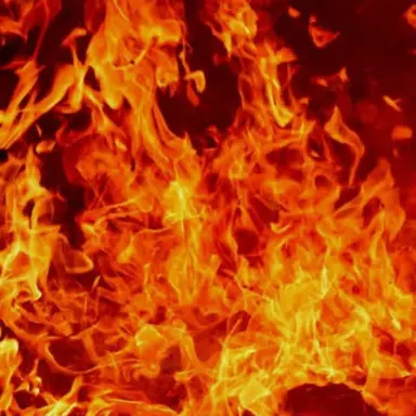 Profile image of ザップ