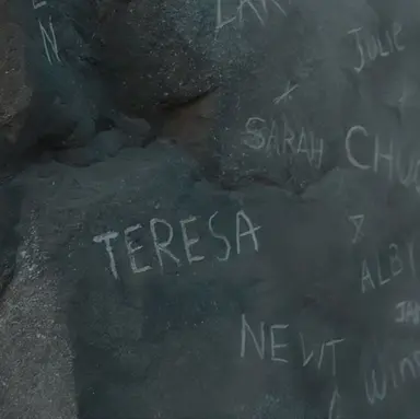 Profile image of Teresa