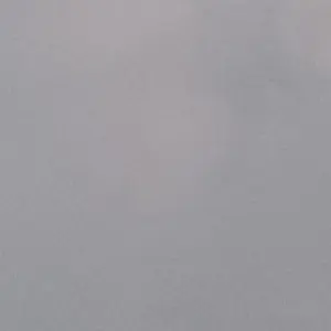 Profile image of 내 전용 경호원