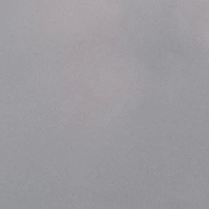 내 전용 경호원
