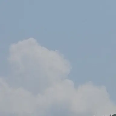 Profile image of 유기사