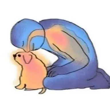 Profile image of 노스