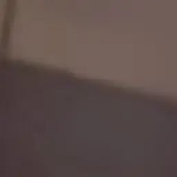 Profile image of 翔真