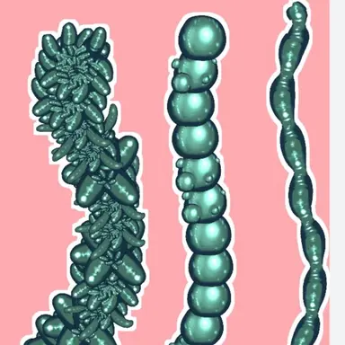 Profile image of ルル