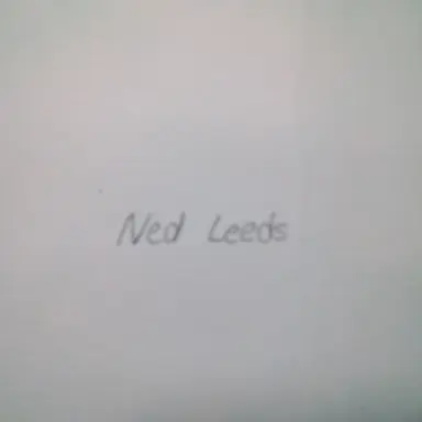 Profile image of Ned Leeds