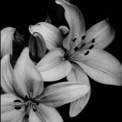 nemuri_nemui의 保健室での恋模様