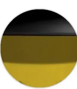 Profile image of 杉村