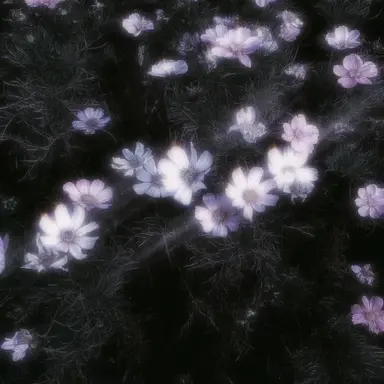 Profile image of 타츠키