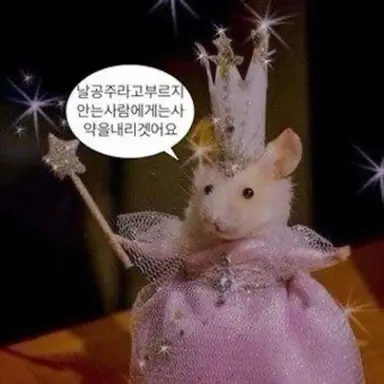Profile image of 여우