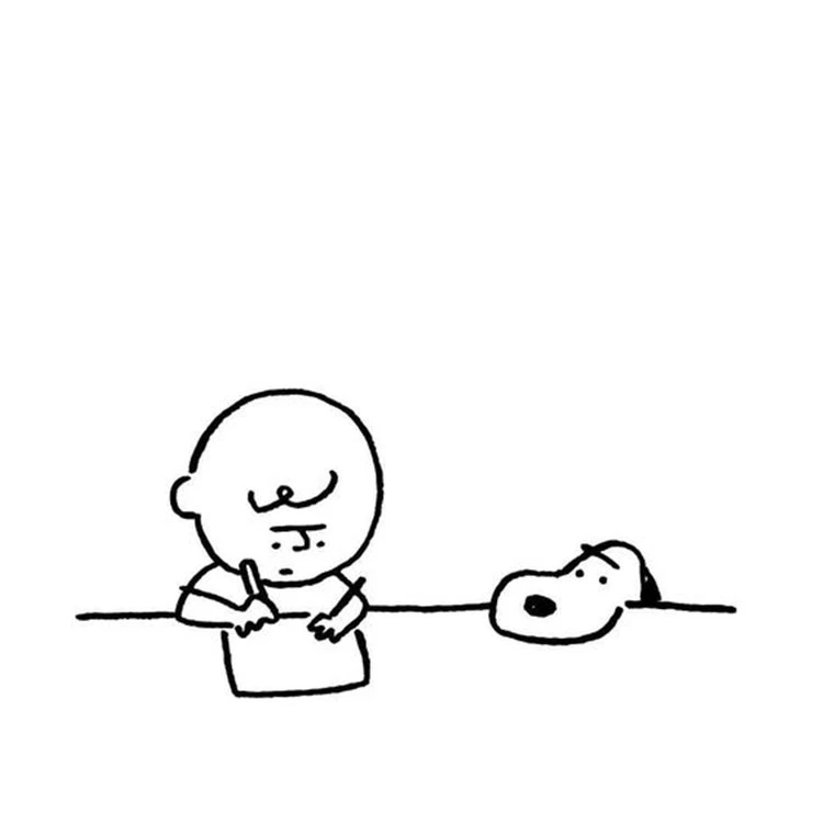 라이즈와여우