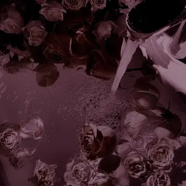 Profile image of 싸이코아