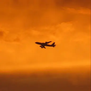 Profile image of 메가구