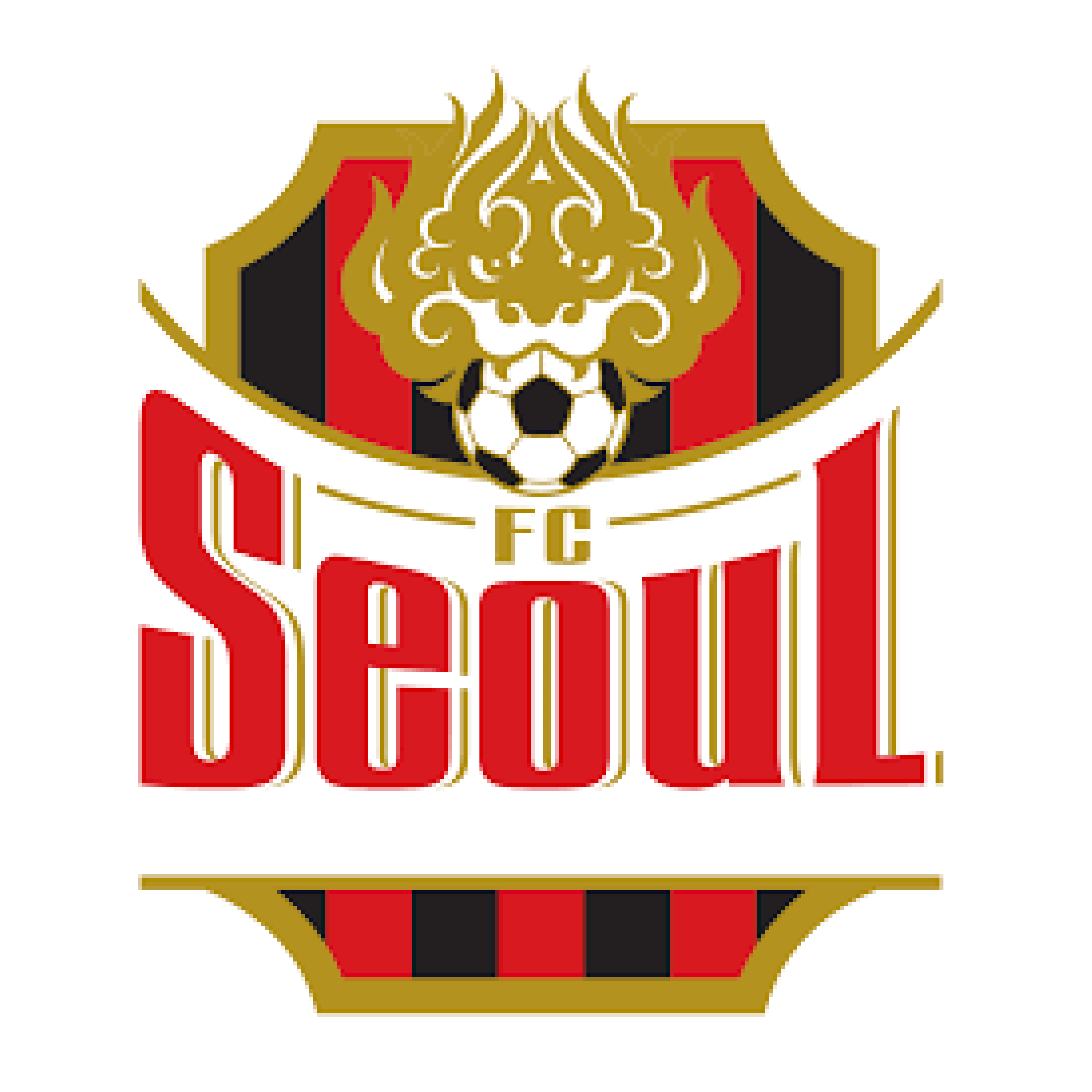FC 서울 대표 이미지