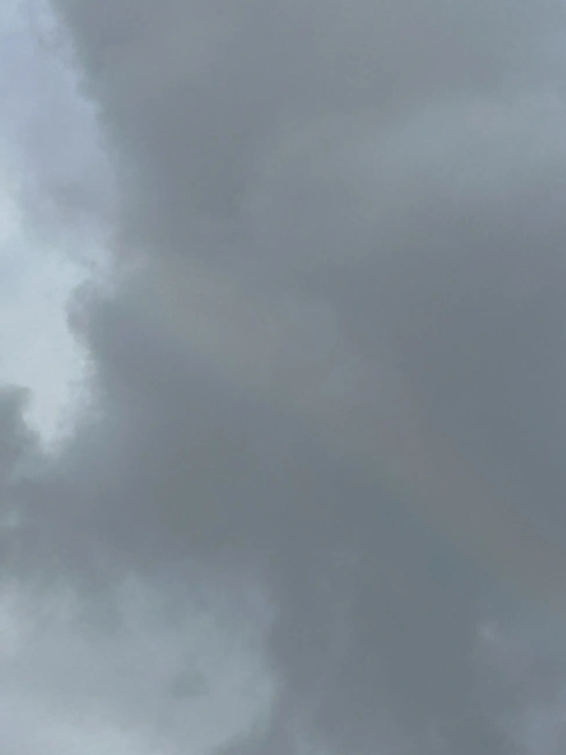 Snail101의 진실게임