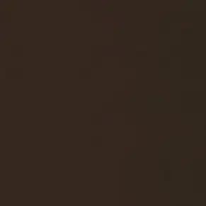 Profile image of 家入硝子