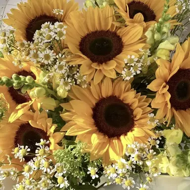 Profile image of 우토