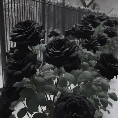 Profile image of 우융