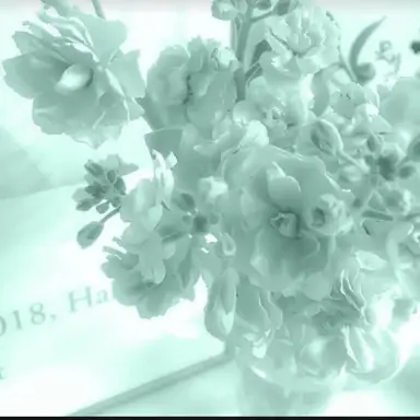 Profile image of 예엥