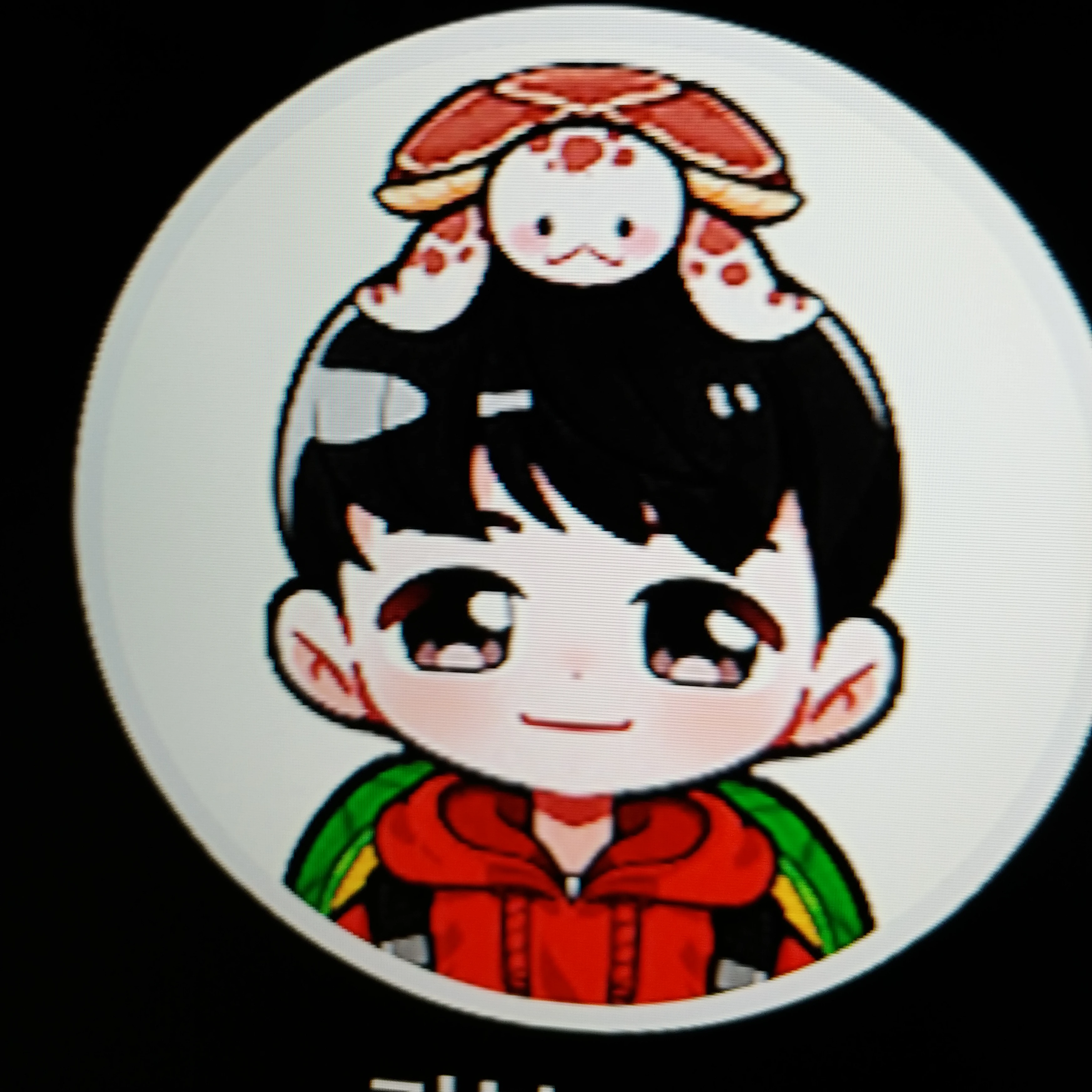 거북도사