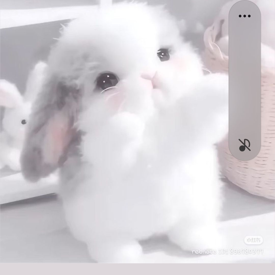 팀나빠+여우+설사약 대표 이미지