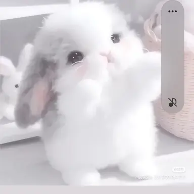 Profile image of 팀나빠