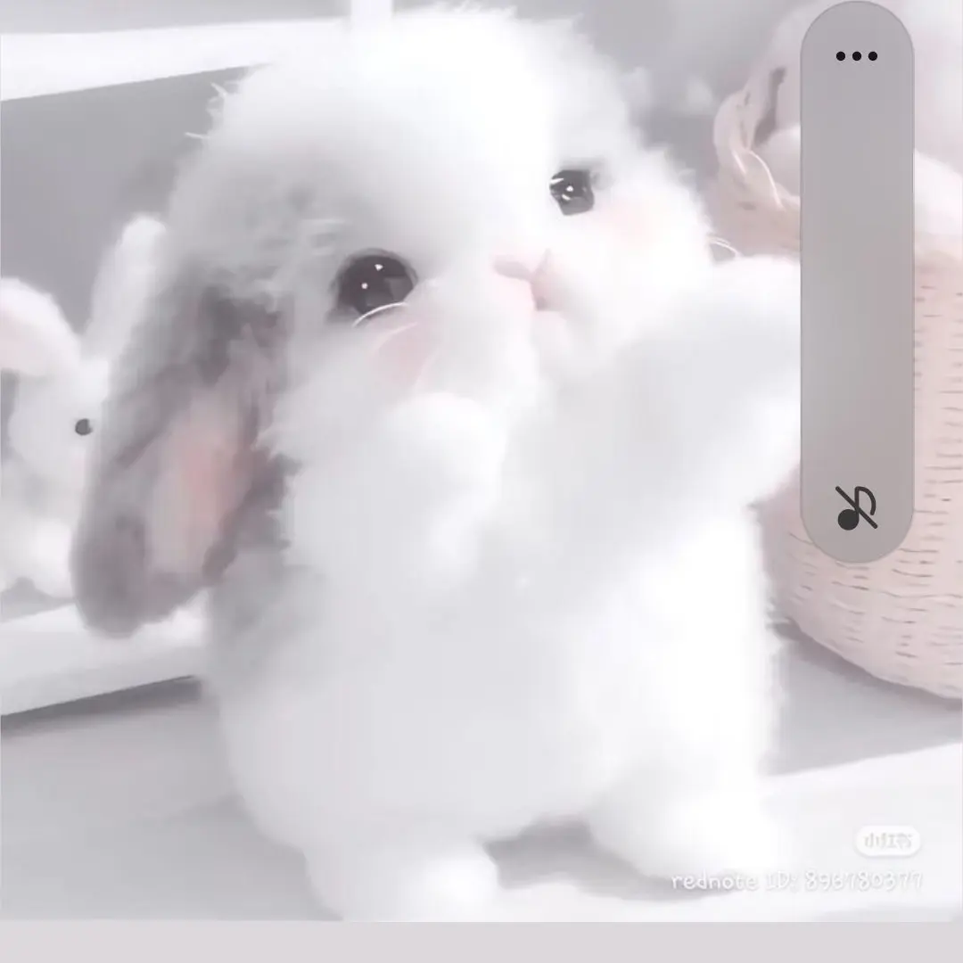 RedHose4568의 팀나빠+여우+설사약