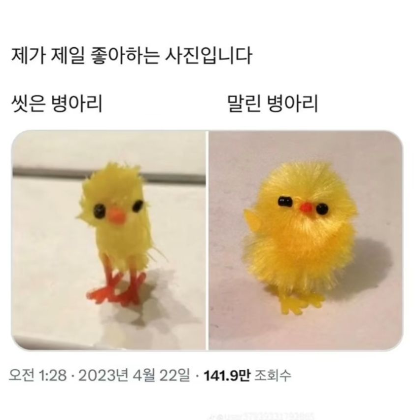수인 세계 대표 이미지