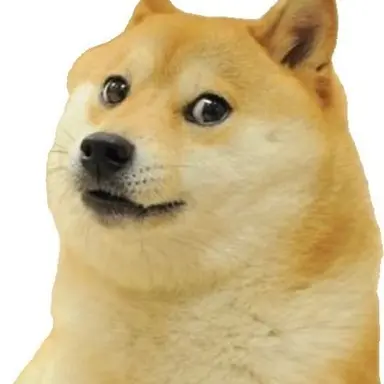 Profile image of 개멋생긴 여우