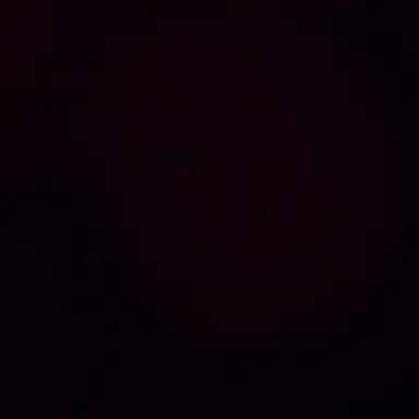 Profile image of 김애플