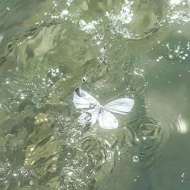 Profile image of 정공룡