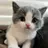 고양이 보육 교사 RPG