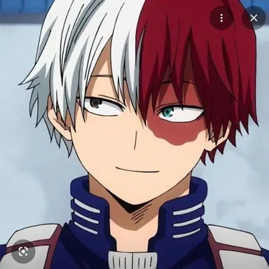 Profile image of Todoroki