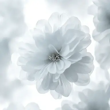 Profile image of タカシ