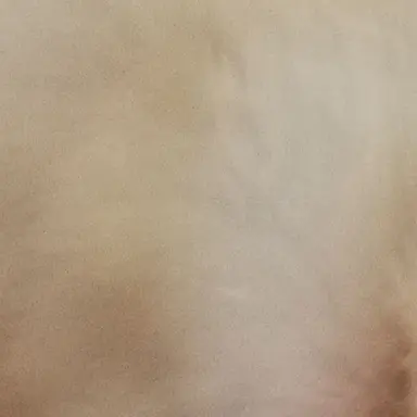 Profile image of 元貴