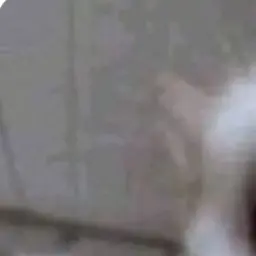 Mayo의 못생긴 김서윤💩