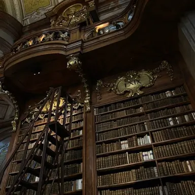 Profile image of 달러구트