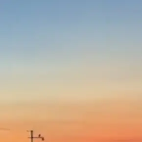 Profile image of 준브레드