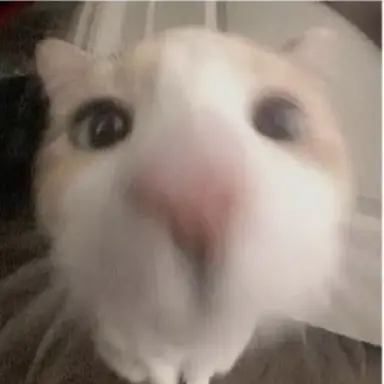 Profile image of 카마도 탄지로