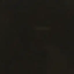 Profile image of 한지성