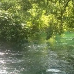 Profile image of 공룡