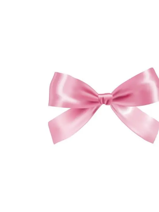 SRSRSR의 ツインテ高校生。