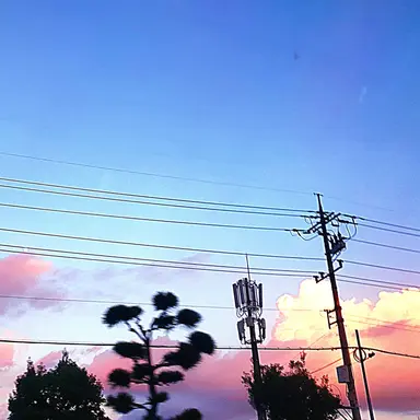 Profile image of 오토 레이니