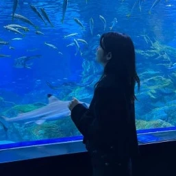 수아