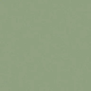 Profile image of がく